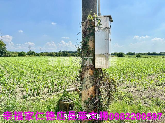 善化農地-11