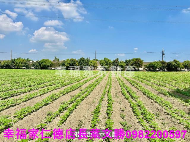 善化農地-12