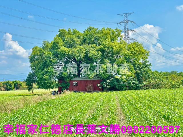 善化農地-1