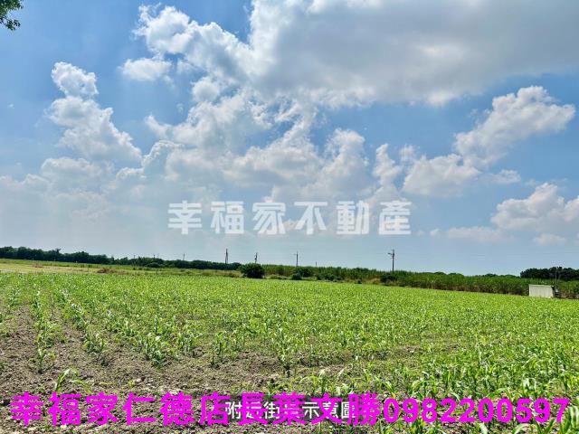善化農地-5