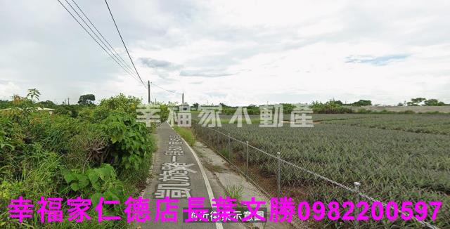 歸仁農地-7