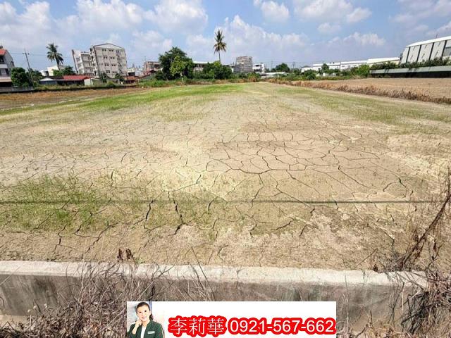 新市農地-2