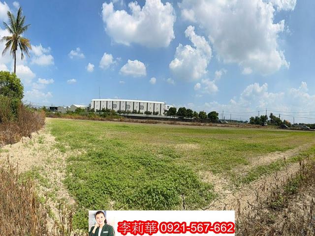 新市農地-5