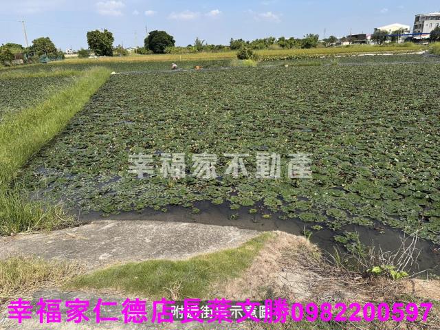 台南農地-10