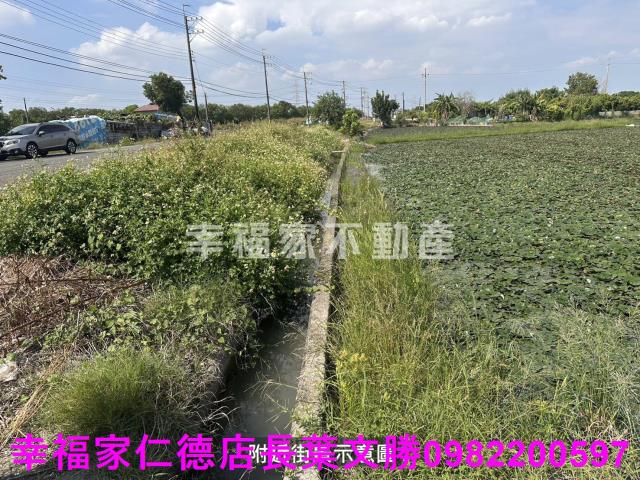 台南農地-5