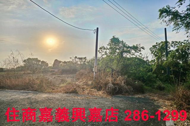 嘉義農地-2