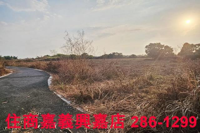 嘉義農地-4
