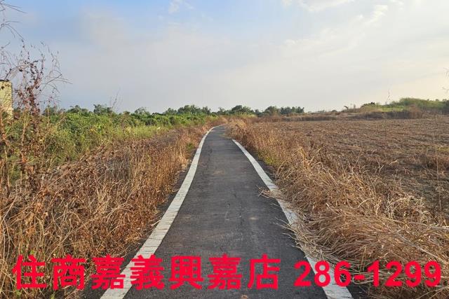 嘉義農地-5