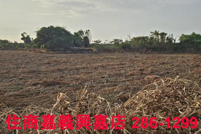 嘉義農地-6