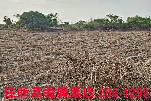 嘉義農地-7