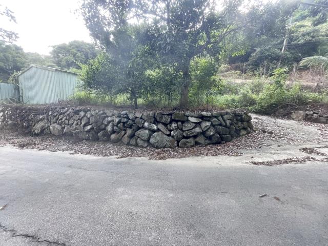 國姓南港村農建地1甲6