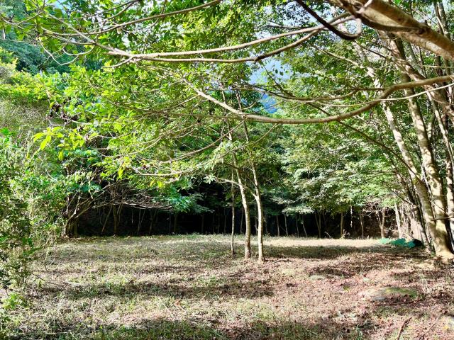 南投埔里農地-13