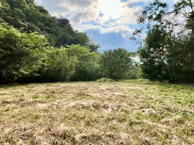 南投埔里農地-5