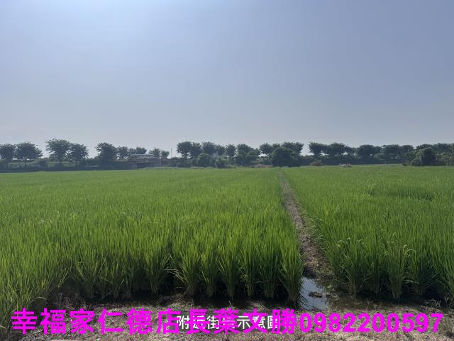 台南後壁農地-12