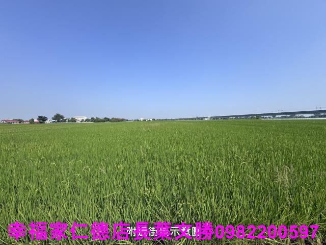 台南後壁農地-7