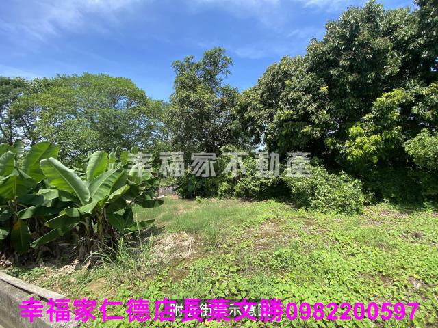 台南歸仁農地-13