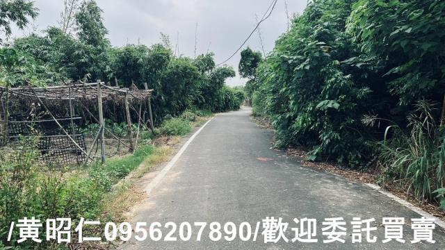 台南歸仁農地-1