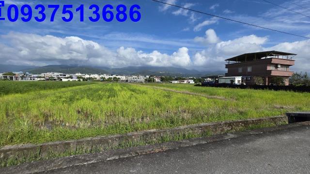 宜蘭市農地-6