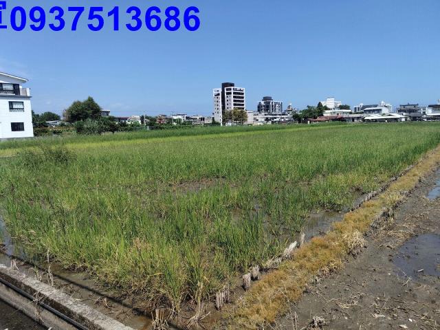 宜蘭市農地-4
