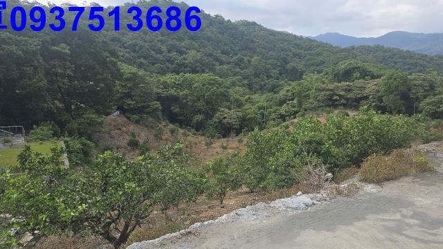 礁溪農地-13