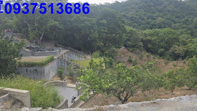 礁溪農地-14