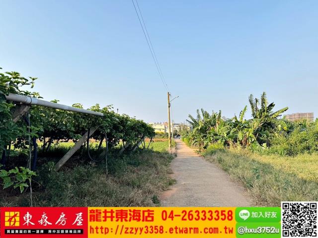 台中沙鹿
