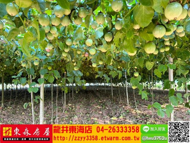 台中農地-2