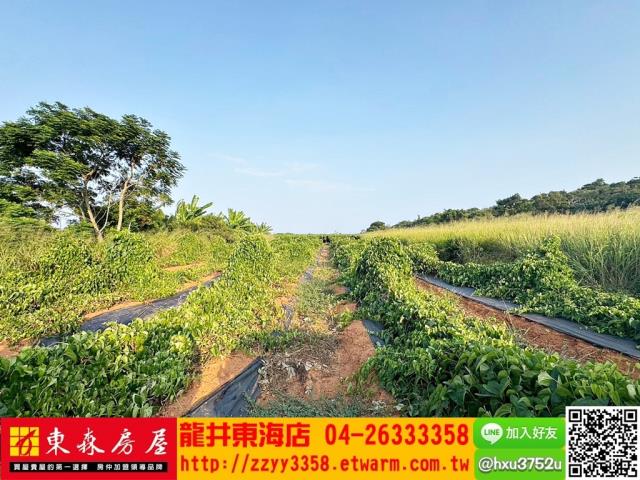 台中農地-3
