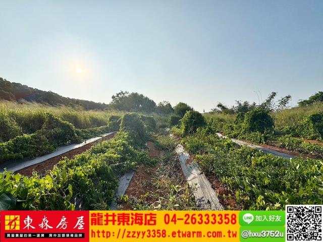台中農地-4