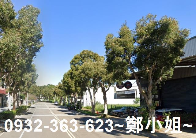 林口AI麗林段建地出售