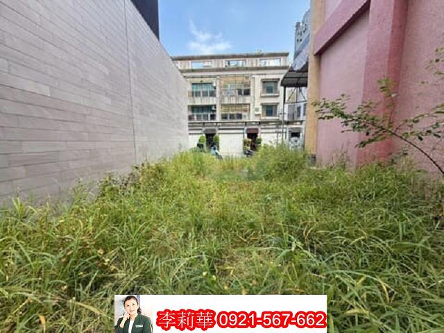 台南建地-6