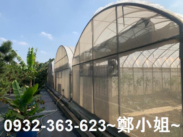 桃園農地-4