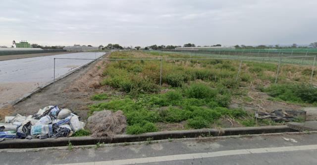 雲林縣莿桐鄉義和村法拍農保地