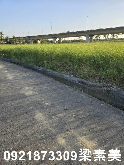 台南新市農地-5