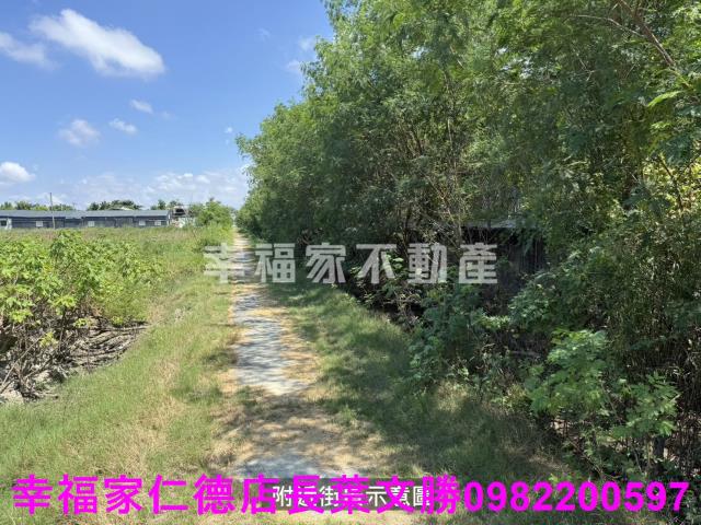 鹽水農地-14