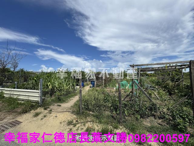 安南農地-11