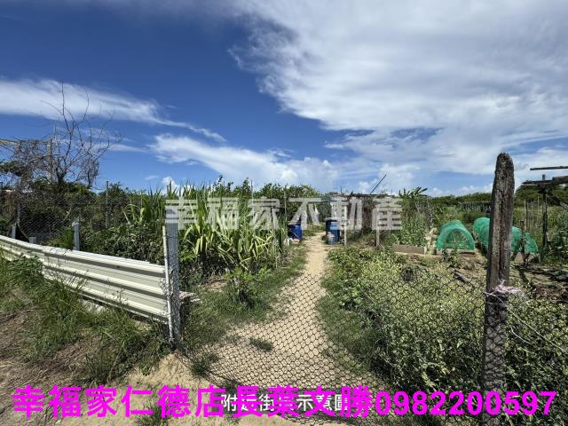 安南農地-0