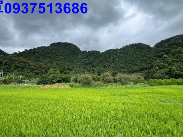 員山農地-3