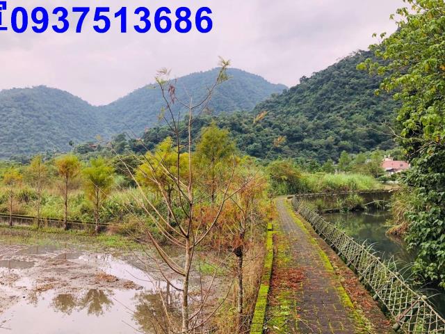 員山農地-4