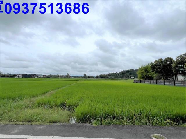 員山農地-2