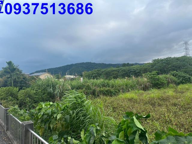 員山農地-4