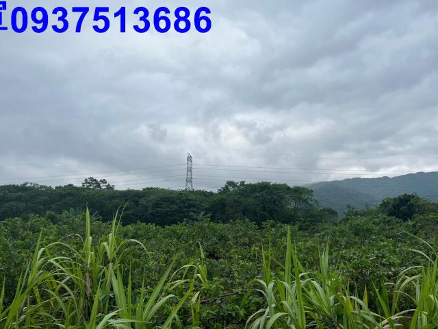 員山農地-9