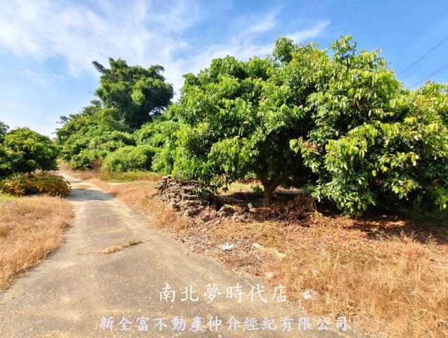 台南農地-2
