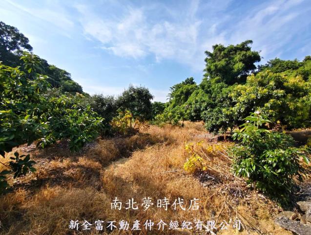 台南農地-4