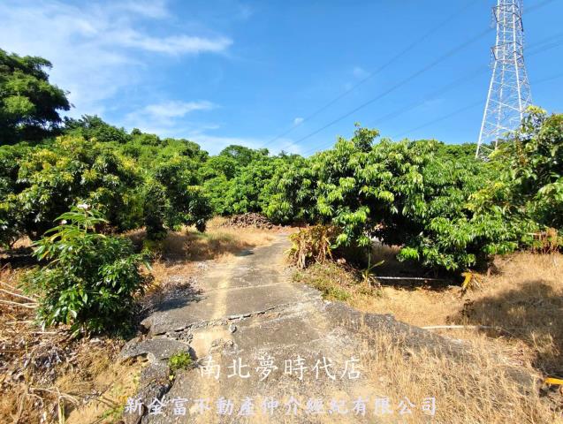 台南農地-5