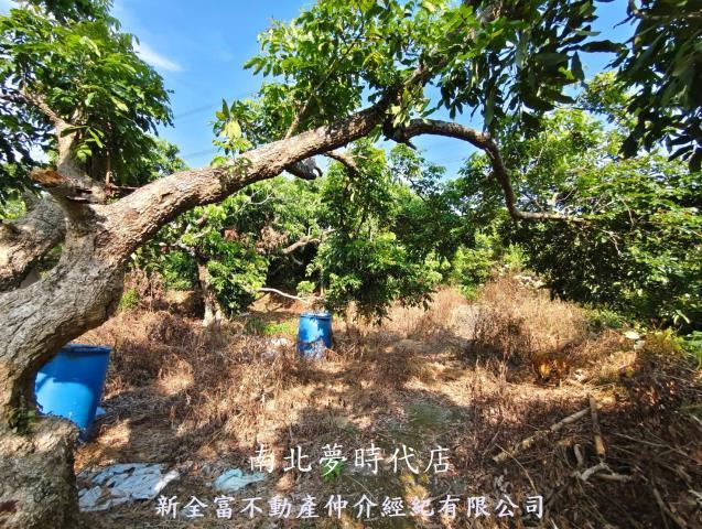 台南農地-9