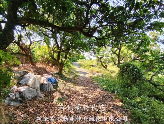 台南農地-12