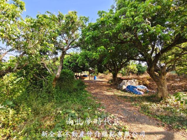 台南農地-13