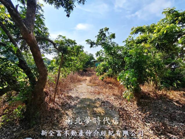 台南農地-8