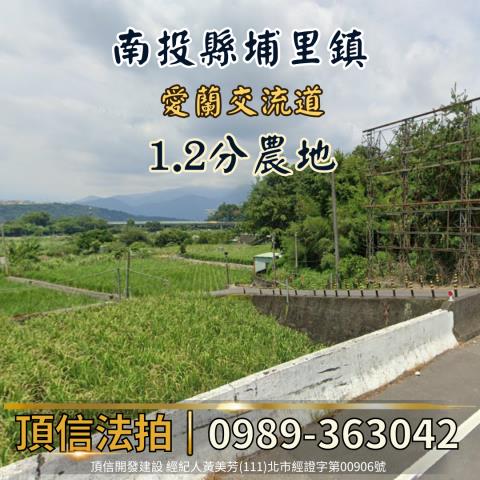 南投法拍農地-0